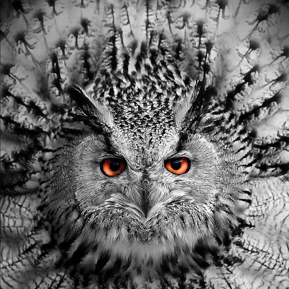 Offering SAME-DAY SHIPPING 6 days a week✈️✈️✈️ - Picture 7 of 10